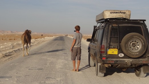 Nieuw land, nieuw nummerbord, Egypte
